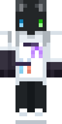 2D skin preview