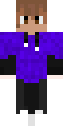 2D skin preview