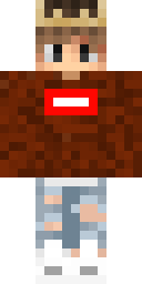 2D skin preview