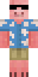 2D skin preview