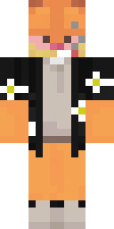 2D skin preview