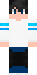 2D skin preview