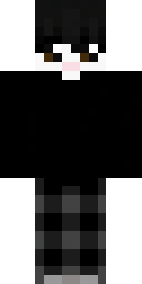 2D skin preview