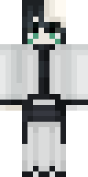 2D skin preview