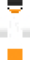 2D skin preview