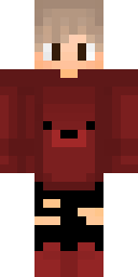 2D skin preview