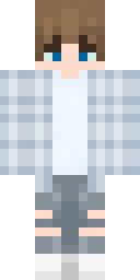 2D skin preview