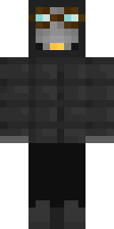 Skin preview for gtrptt