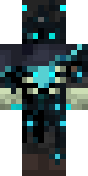 2D skin preview