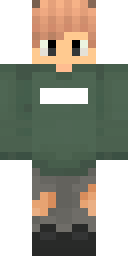 2D skin preview