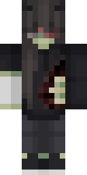 2D skin preview