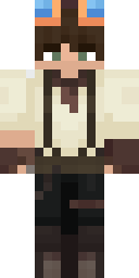 2D skin preview