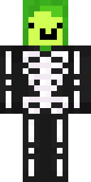 2D skin preview