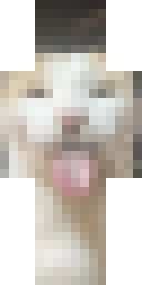 2D skin preview
