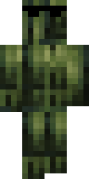 2D skin preview
