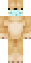2D skin preview