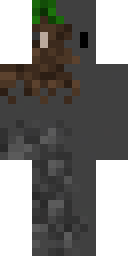 2D skin preview