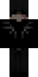 2D skin preview