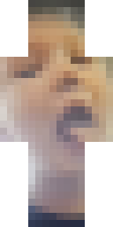 2D skin preview