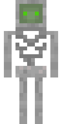 2D skin preview