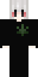 2D skin preview