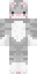 2D skin preview