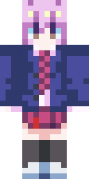 2D skin preview