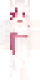 2D skin preview