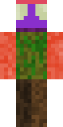 2D skin preview