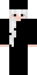 2D skin preview