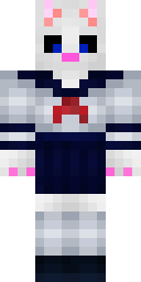 2D skin preview