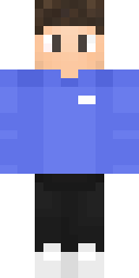 2D skin preview