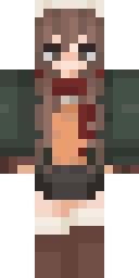 2D skin preview