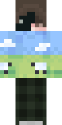 2D skin preview