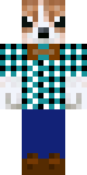 2D skin preview