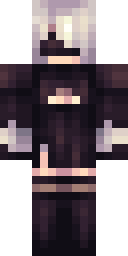2D skin preview