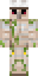 Skin preview for Vesid