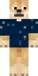 2D skin preview