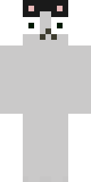 2D skin preview