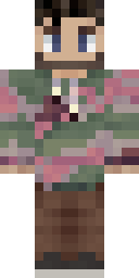2D skin preview