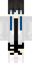 2D skin preview