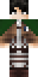2D skin preview
