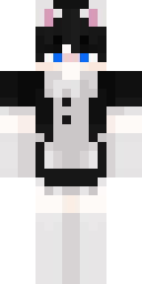 2D skin preview
