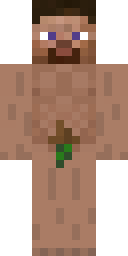 2D skin preview