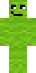 2D skin preview