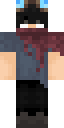 2D skin preview
