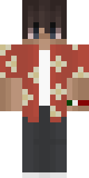 2D skin preview
