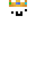 2D skin preview