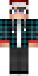 2D skin preview