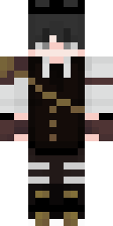2D skin preview